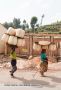 Carrying Baskets