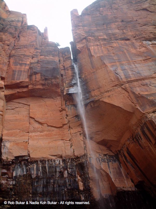 Zion National Park