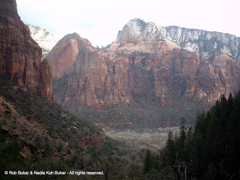 Zion National Park