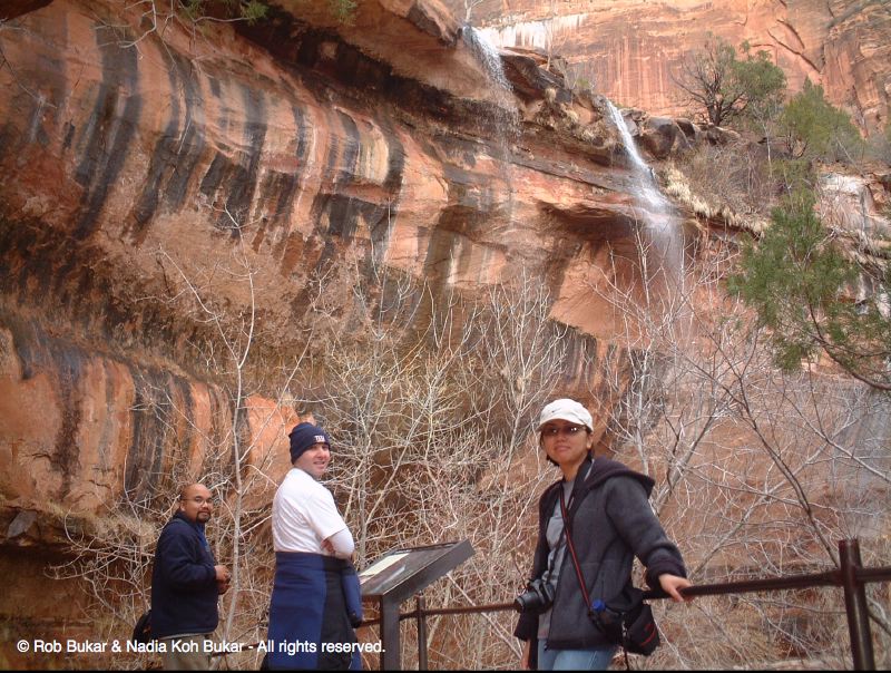 Jean, Rob, Liza, Zion National Park