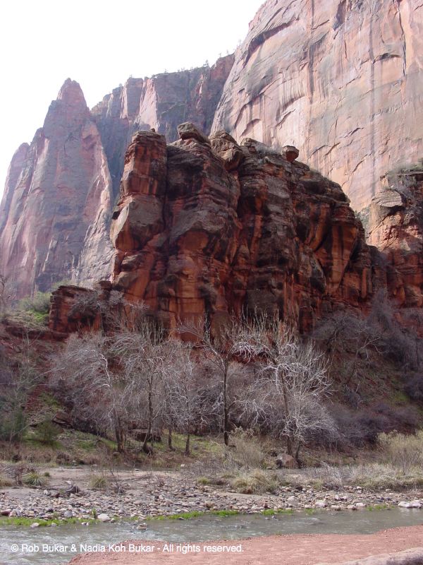 Zion National Park