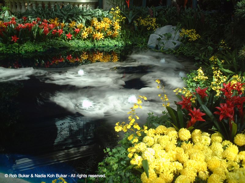 Garden Inside Belagio, Las Vegas
