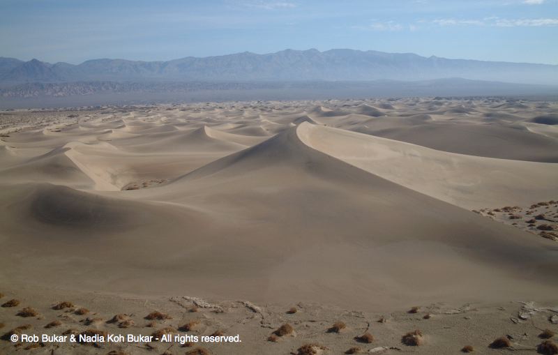 Sand Dunes, Death Valley, CA