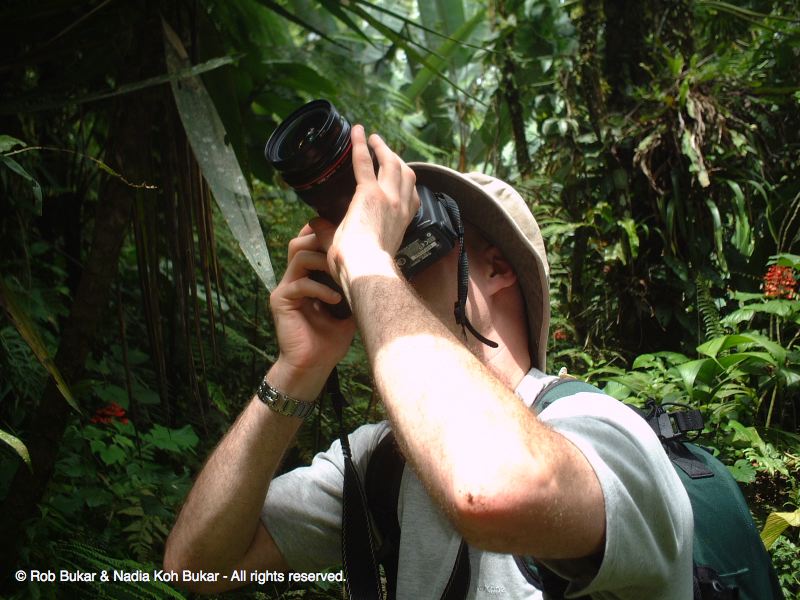 Rob shooting Some Butterflies