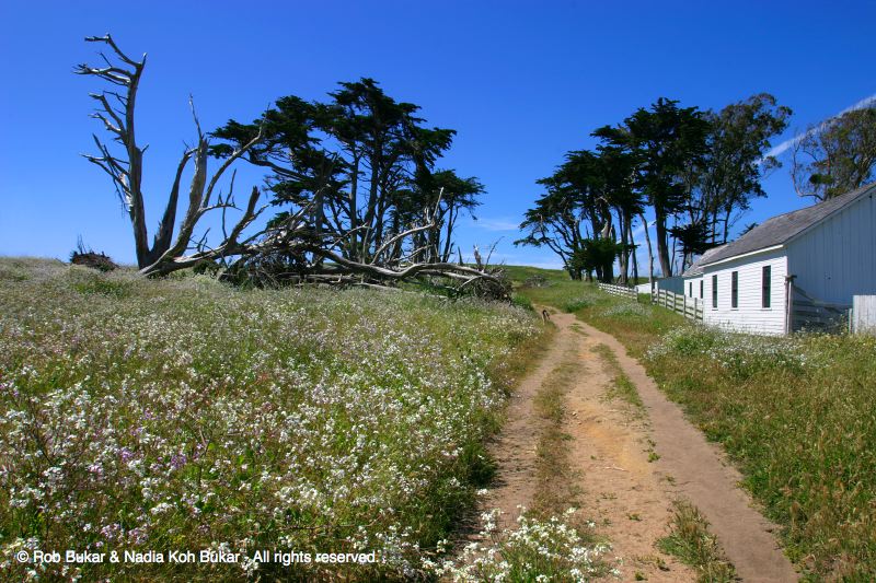 Barn at Start of Trail, Point Reyes